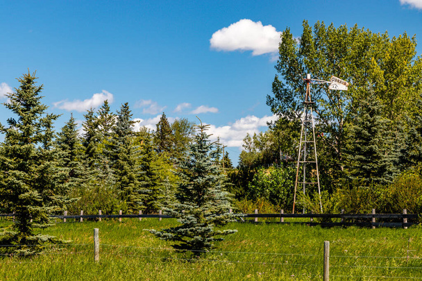 Veld en vijver in de zomer. Rockyview County, Alberta, Canada - Foto, afbeelding