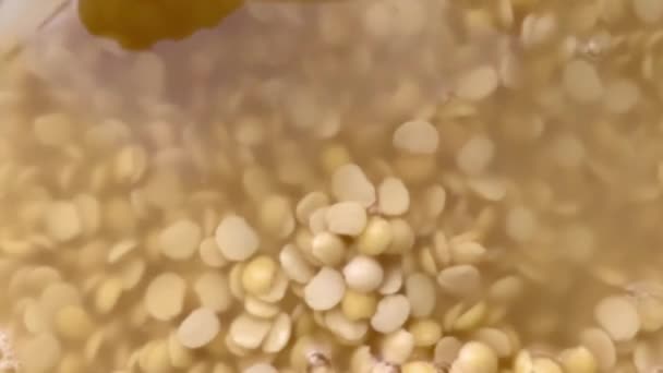 Грубі очищені гранули пшениці, вливаються в миску на ізольованому білому тлі
 - Кадри, відео