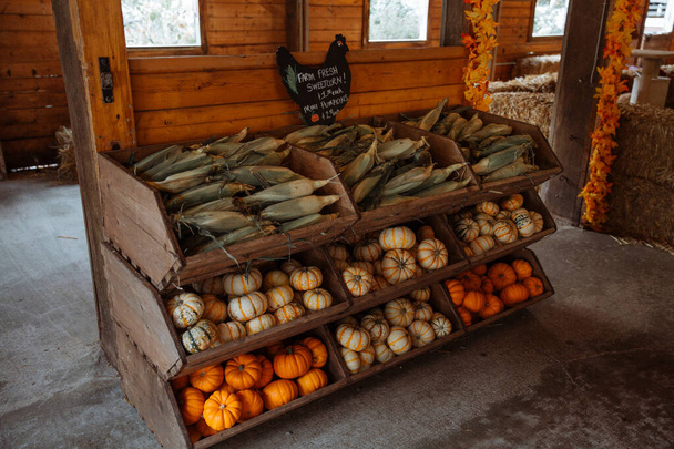 Farm fresh produce on a stand for sale - Photo, Image