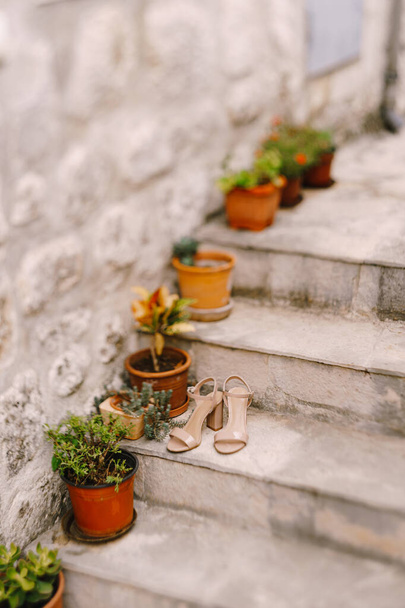 Dámské béžové sandály na schodech s květinami v květináčích u kamenné stěny s mělkou hloubkou pole. - Fotografie, Obrázek