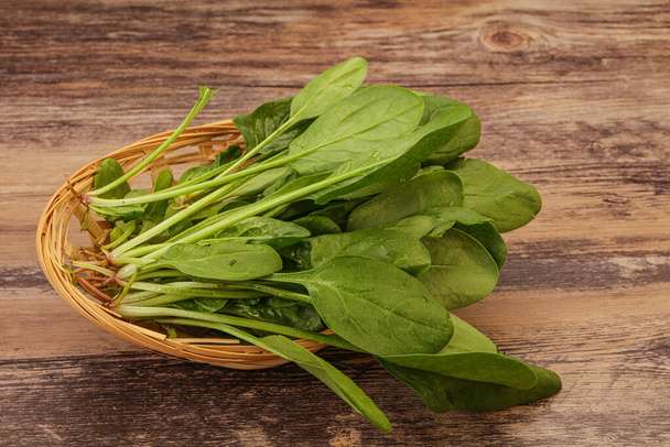 Cuisine végétalienne - Feuilles d'épinards verts frais tas - Photo, image