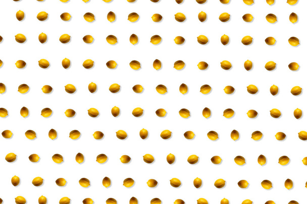 lemon pattern. lemon isolated on white. tropical pattern. triplic fruits. concept banner for trade. background for website page. - Foto, afbeelding