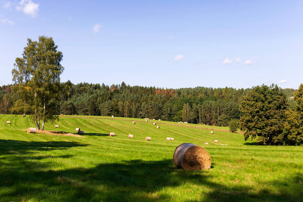 Late zomer Landschap in Tsjechië, Tsjechië - Foto, afbeelding