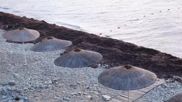Vista dall'alto della giornata di sole in spiaggia con un grezzo di ombrelloni di paglia. Concetto. Paesaggio estivo con spiaggia di ghiaia e ombrelloni per la protezione dal sole. - Filmati, video