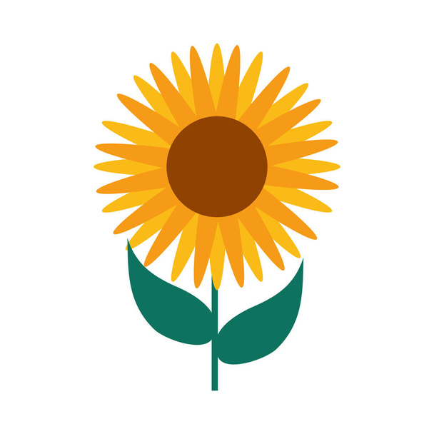 krásná slunečnice ikona, plochý styl - Vektor, obrázek