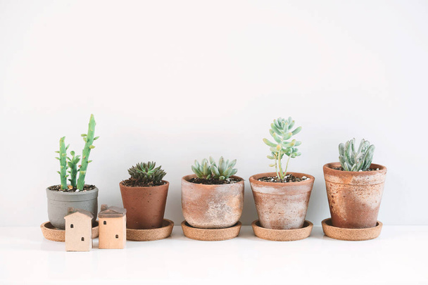Succulents et cactus dans différents pots d'argile sur l'étagère blanche. Décoration de maison scandinave hipster. - Photo, image