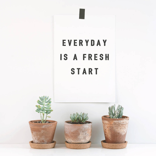 Citação inspiradora "Todos os dias é um novo começo". Cacto em vasos de argila sobre fundo branco. - Foto, Imagem