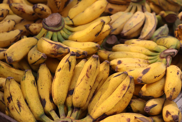 Lots of yellow bananas, fresh healthy food - Photo, Image