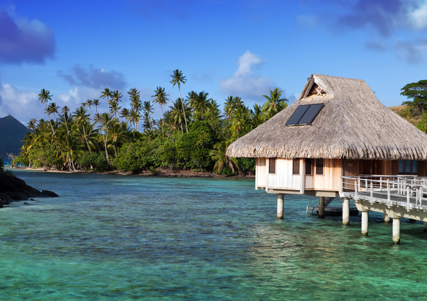 Tipik Polinezya manzarası - Palmiye ağaçları ve su üzerinde küçük evleri olan deniz manzarası - Fotoğraf, Görsel