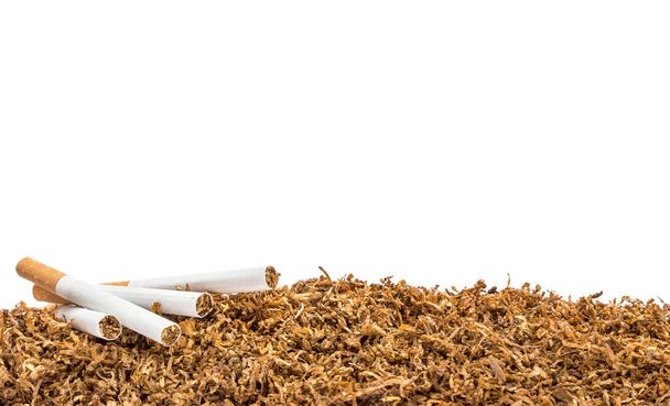 Σύνορα από τσιγάρα σε σωρό κομμένου καπνού που απομονώνονται σε λευκό. - Φωτογραφία, εικόνα