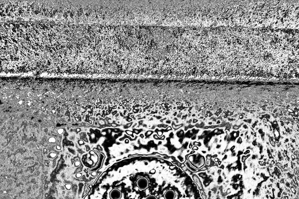 fundo abstrato. textura monocromática. imagem incluindo efeito os tons preto e branco. - Foto, Imagem