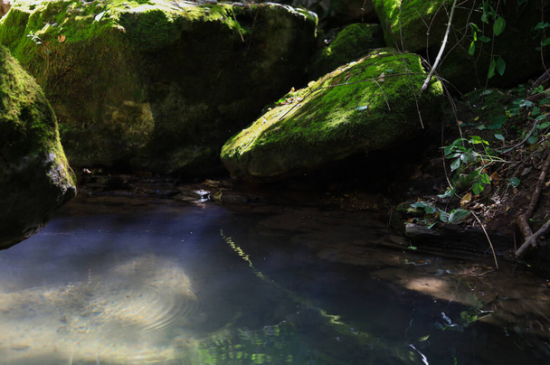 Wild rocky nature with a stream, background. Water is the main thing in the hike. - Φωτογραφία, εικόνα