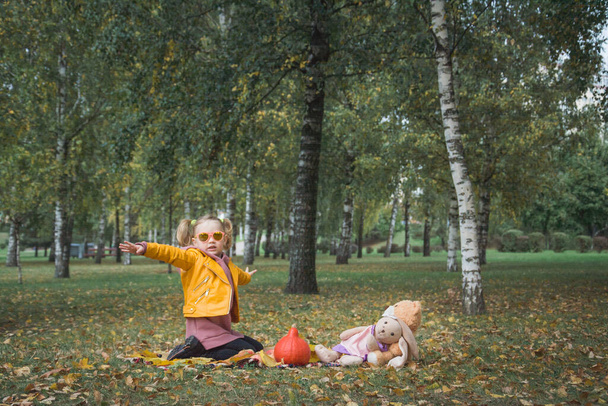 Beautiful little girl playing in the autumn park on a picnic - Photo, Image