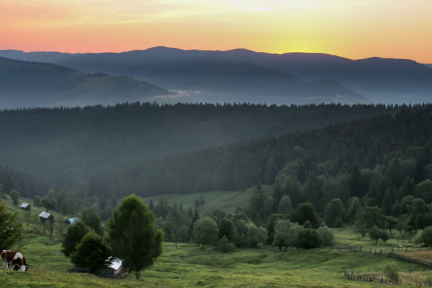 Orangefarbener Sonnenaufgang am Morgen - Naturlandschaft in den Bergen mit Bäumen und Tieren - Foto, Bild