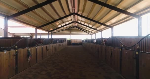 Vue intérieure ou ranch d'écurie. Poupée aérienne prise de vue de jour dans une ferme de chevaux à la campagne. Cabine équestre entraînée en attente dans un abri sur le toit - Séquence, vidéo