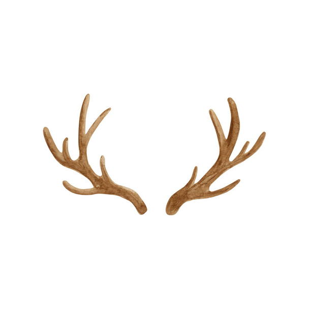 Antler horns watercolor illustration. Hand painted deer horns isolated on white background. - Photo, Image