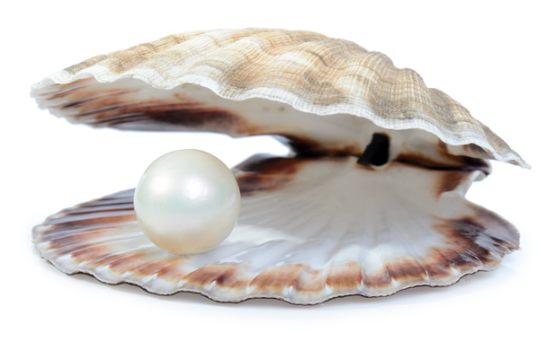 Wohlhabende Perle - Foto, Bild
