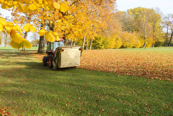 Vacuum lakaisukone hinataan traktorin työtä syksyllä puistossa.  - Valokuva, kuva