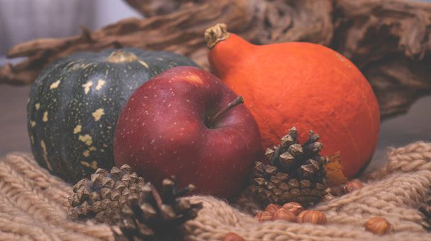 Autumn still life with apples and nuts. Autumn background with apples on a warm knitted scarf, a wooden plate, autumn leaves, hazelnuts and cones. - Foto, imagen