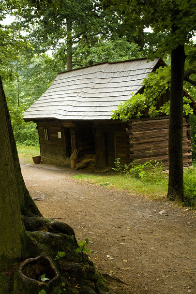 деревянный дом - Фото, изображение