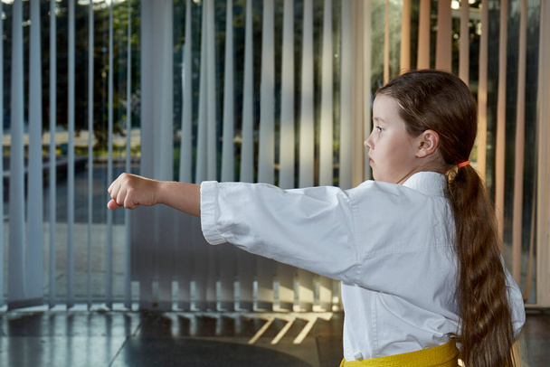 Ruční kopanec je trénink dívka atlet v karategi - Fotografie, Obrázek