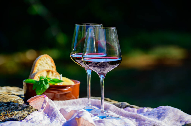 ラツィオ州、イタリアのブドウ畑で赤ワインの試飲と夏のピクニックや屋外ランチ - 写真・画像