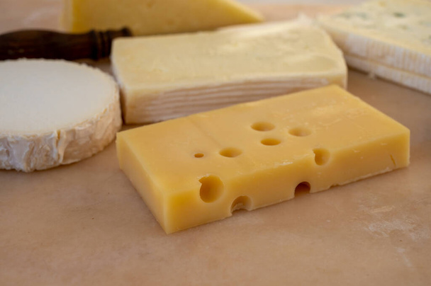 大理石のボード上のフランスのチーズコレクション,精神,ケア・ド・アウラロック,プチカンタルAOPジューン,ブッシュ・シェーブルとブリー - 写真・画像