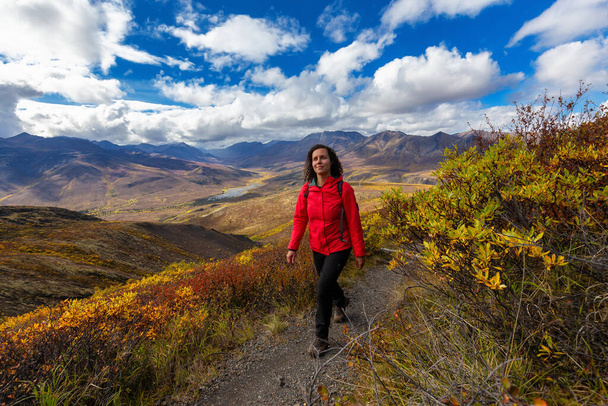 Girl Hiking in Canadian Nature - Фото, зображення