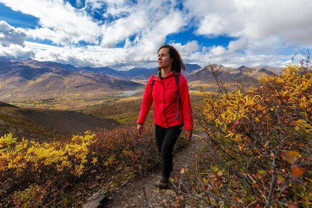 Girl Hiking in Canadian Nature - Фото, зображення