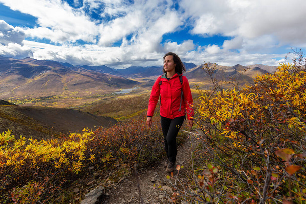 Girl Hiking in Canadian Nature - Fotoğraf, Görsel