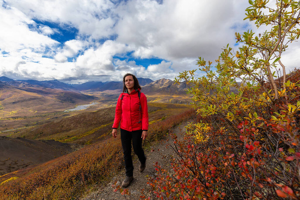 Girl Hiking in Canadian Nature - Fotoğraf, Görsel