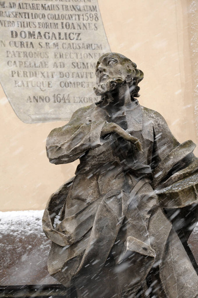 Statue near Latin Cathedral in Lviv, Ukraine - Photo, Image