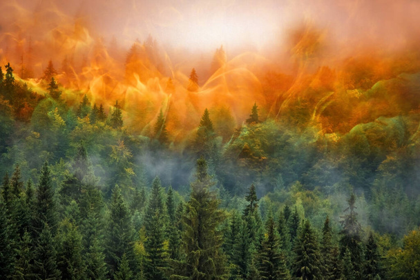 pożar lasów, globalne ocieplenie, klęska ekologiczna, pożar lasów - Zdjęcie, obraz