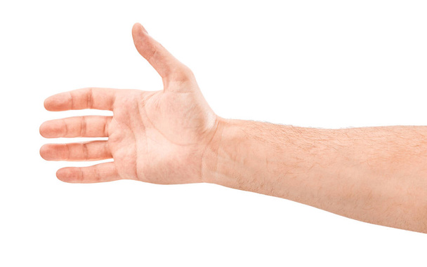 Hand on Isolated white background. Five fingers. Palm. - Foto, afbeelding