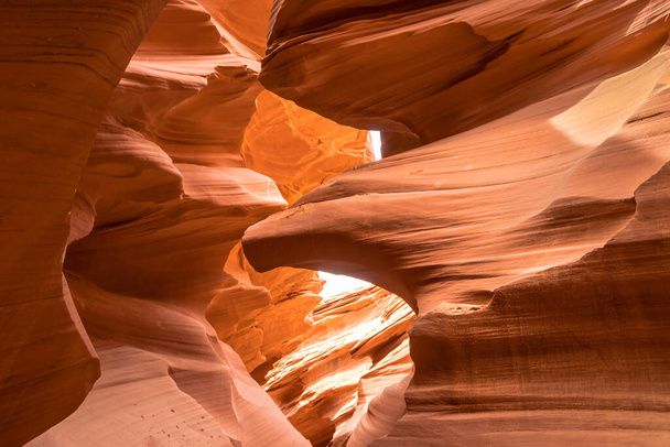 Eagle shaped at Antelope Canyon on Navajo land east of Page, Arizona. It is a slot canyon in the American Southwest. Lower Antelope has narrow slots and carved shoots. - Photo, Image