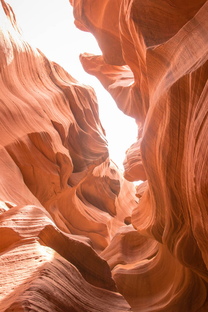 Antelope Canyon sur la terre Navajo à l'est de Page, Arizona. C'est un canyon de fente dans le sud-ouest américain. L'antilope inférieure a des fentes étroites et des pousses sculptées. - Photo, image