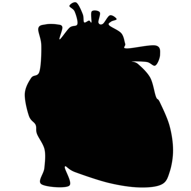 Ícone de coração humano, desenho de ilustração vetorial. silhueta de órgão auditivo humano com grandes vasos - Foto, Imagem