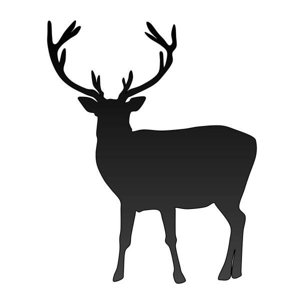 Silueta vectorial negra de ciervo aislado sobre fondo blanco. - Foto, Imagen