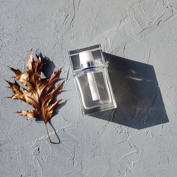 Prostokątne szkło przezroczyste butelka perfum złoty liść na szarym stole betonowym. Zdjęcie kwadratowe. - Zdjęcie, obraz