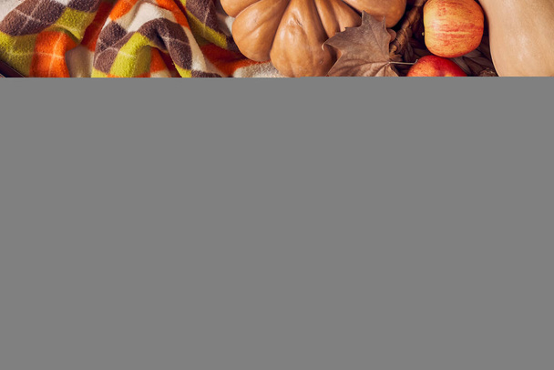 Pique-nique sain d'automne. Récoltez des flatlay rustiques avec plaid, livre, bocaux de maçon et fruits d'automne sur des planches en bois. Carte postale de Thanksgiving. - Photo, image
