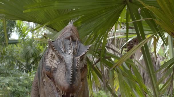 Animatronics Megalosaurus dinosaur 6k záběry - Záběry, video