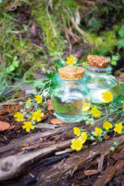 Flessen etherische olie homeopathie globules en gezonde Ranunculus acris - Foto, afbeelding