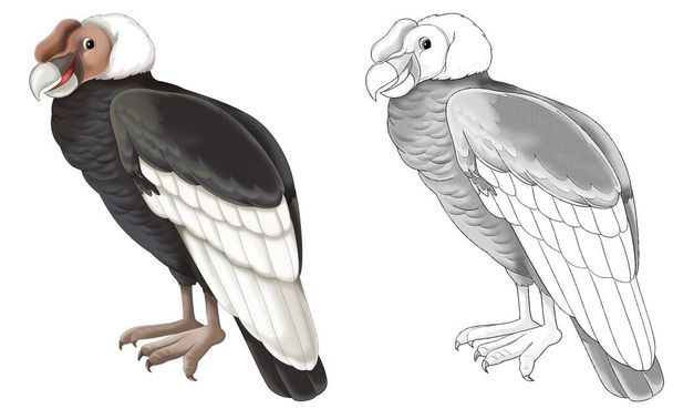 cartoon sketch scene with vulture condor on white background - illustration for children - 写真・画像