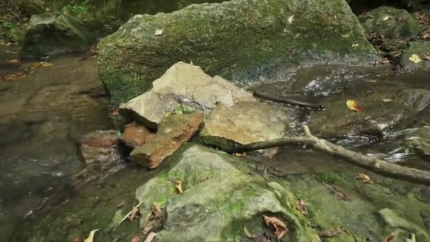 Streaming water in Bechirs Gorge near Soroca, Moldova - Footage, Video