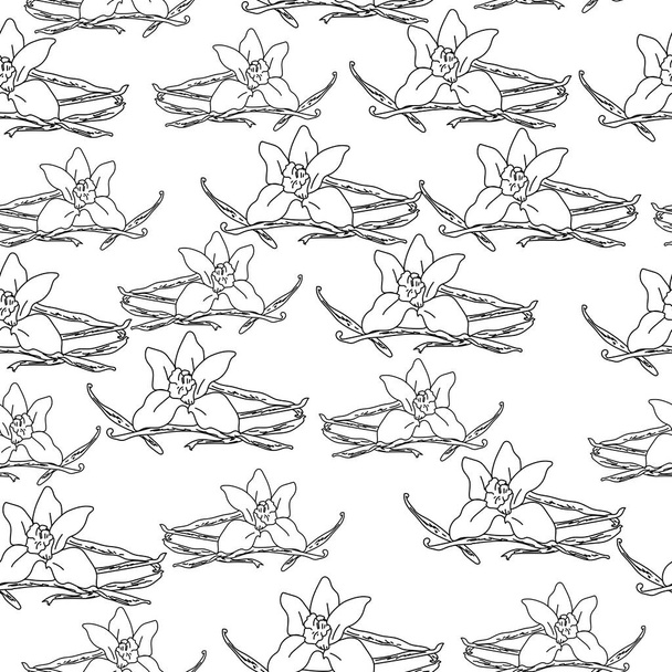 Modèle sans couture d'images de contour d'une fleur et des brins de vanille, herbes aromatiques et épices sur un fond blanc, illustration vectorielle de contour pour le design et la créativité - Vecteur, image