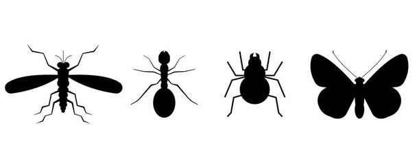 Sbírka hmyzu izolovaného na bílém. ilustrace. - Fotografie, Obrázek