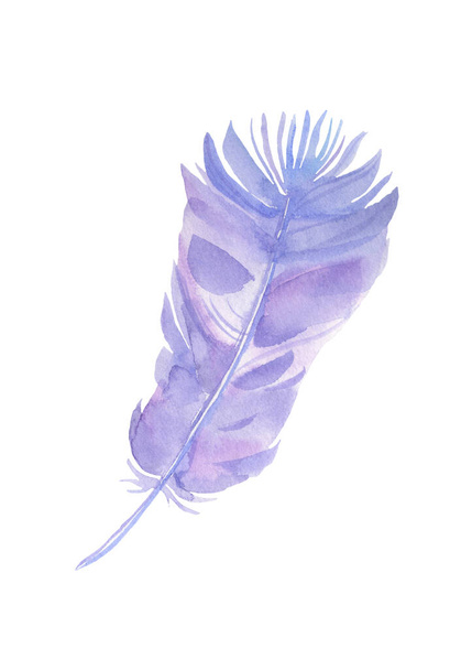Beautiful decorative fairytale violet fluffy feather painted in watercolor isolated on white background - Fotoğraf, Görsel