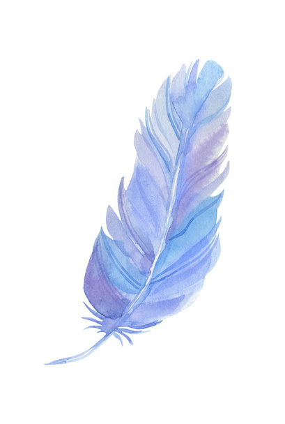 白い背景に描かれた水彩で描かれた美しい装飾的なおとぎ話の青いふわふわの羽 - 写真・画像