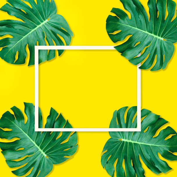 Yeşil canavar doğa konsepti için desen, sarı arka planda tropikal yaprak - Fotoğraf, Görsel