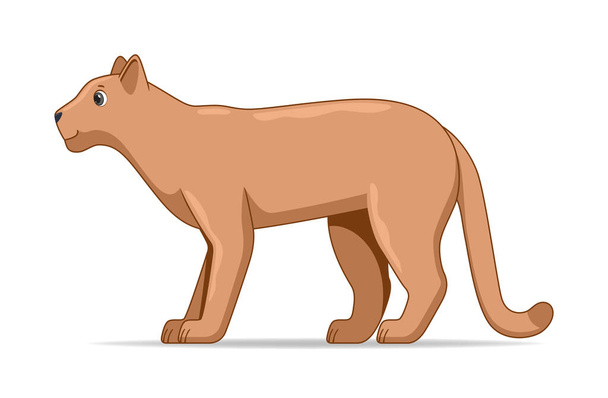 Puma staat op een witte achtergrond. Cartoon stijl vector illustratie - Vector, afbeelding